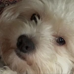 Meet your Posher, Aryan